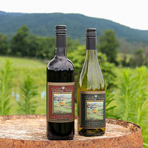 Valley view wines, on a barrel overlooking the mountains