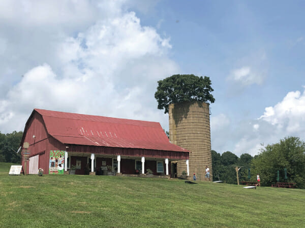 A Day Away On Valley View Farm – Middleburg Life